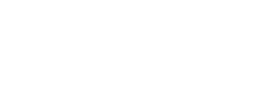 Nido Costa Rica